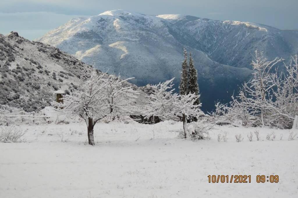 Casa La Solea. Vistas Al Pueblo Y La Sierra Villa Bubión Dış mekan fotoğraf