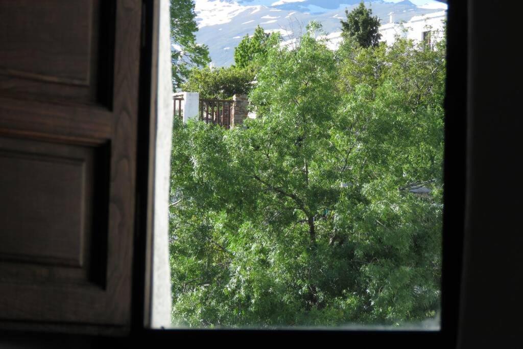 Casa La Solea. Vistas Al Pueblo Y La Sierra Villa Bubión Dış mekan fotoğraf