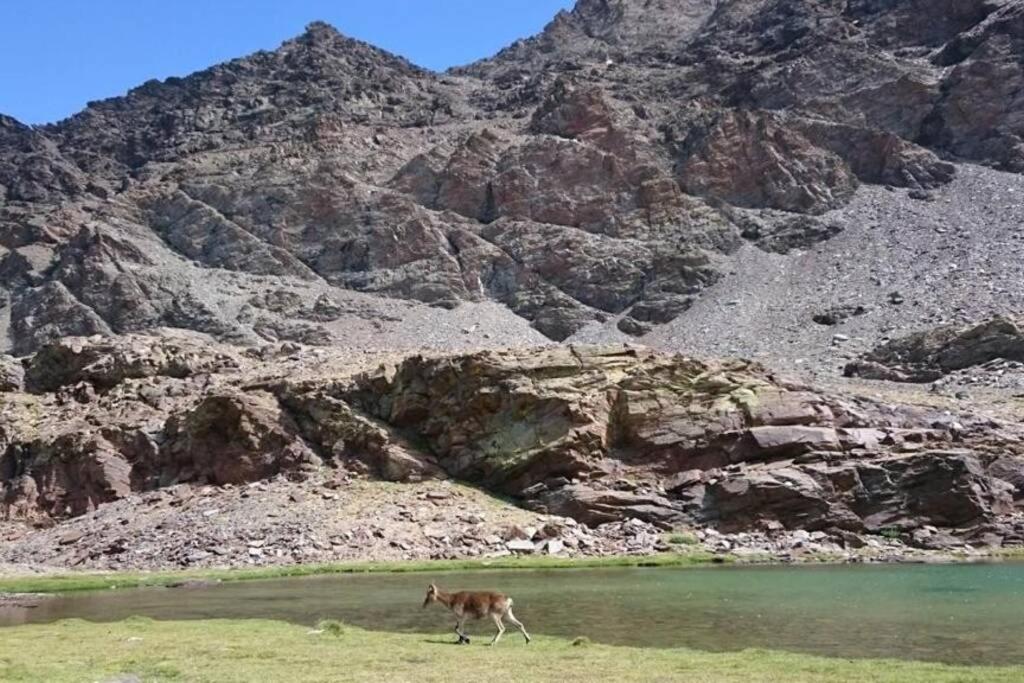 Casa La Solea. Vistas Al Pueblo Y La Sierra Villa Bubión Dış mekan fotoğraf